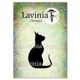 Lavinia Stamp, Luka