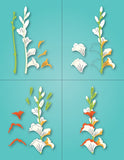 Memory Die, Sensational Gladiola Stem