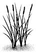 Stampscapes Stamp, Cattails Lg