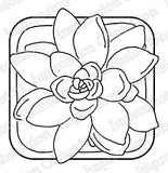 Impression Obsession Stamp, Succulent Elegance Flower